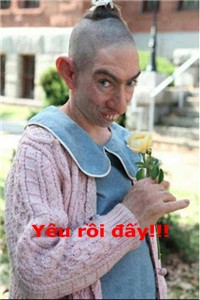 Ảnh chế comment facebook